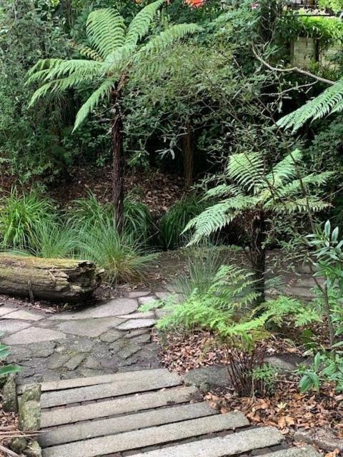 Private Guest Wing - Durie Vale Lodge Whanganui Luaran gambar